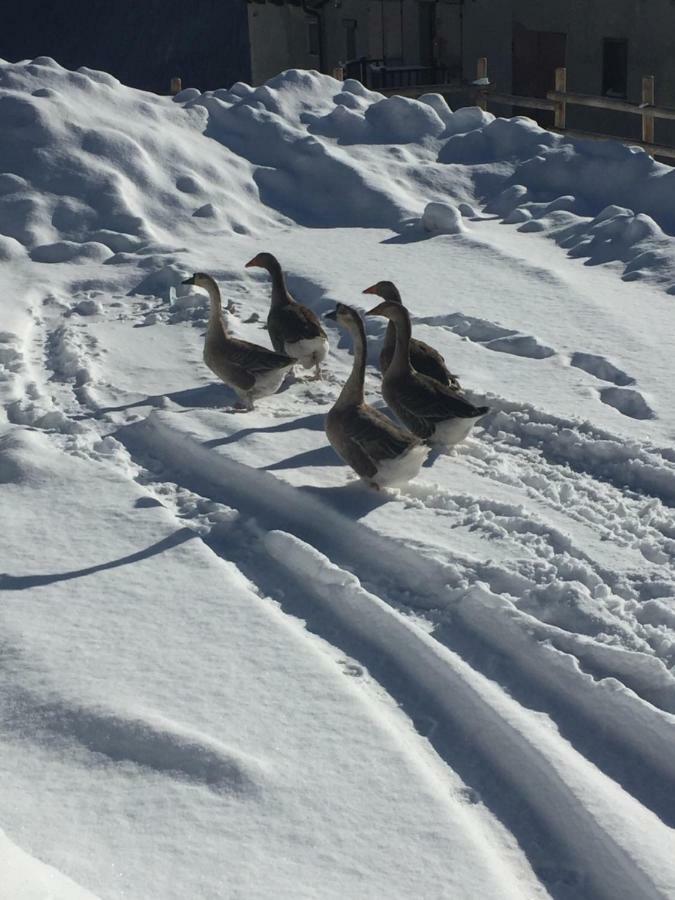 Relax Holiday Colle Colle Sestriere Buitenkant foto